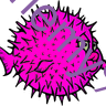 enemy in